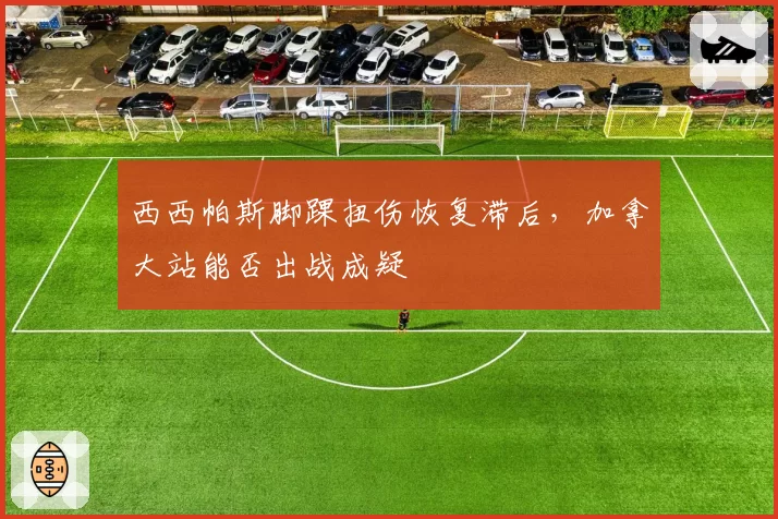 西西帕斯脚踝扭伤恢复滞后，加拿大站能否出战成疑