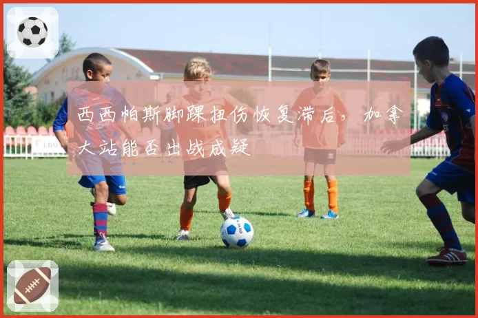 西西帕斯脚踝扭伤恢复滞后，加拿大站能否出战成疑