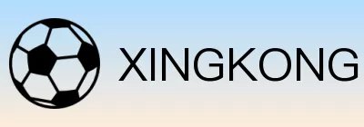 XINGKONG logo